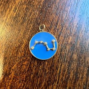 Scorpio Jewelry Charm